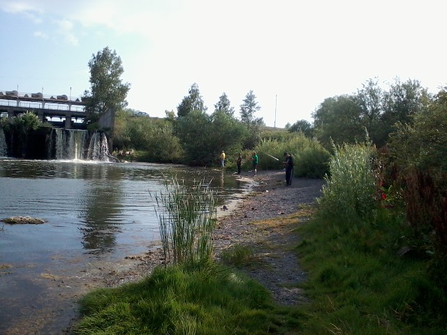 Прикрепленное изображение