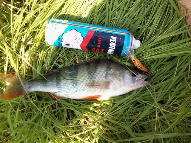 Прикрепленное изображение