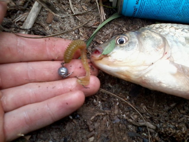 Прикрепленное изображение