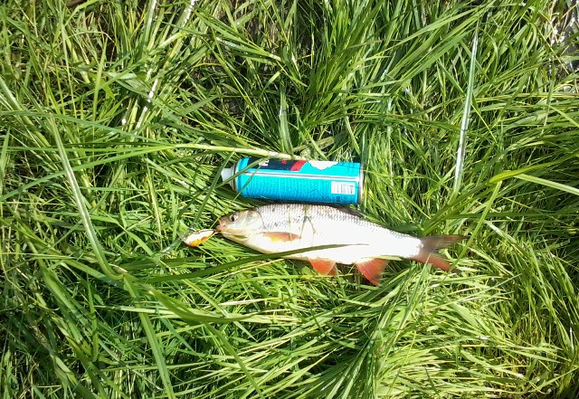 Прикрепленное изображение