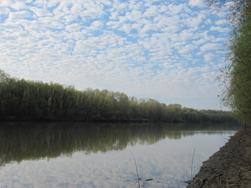 Прикрепленное изображение