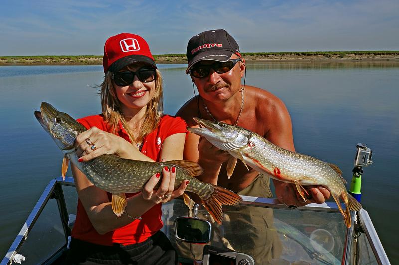 Прикрепленное изображение