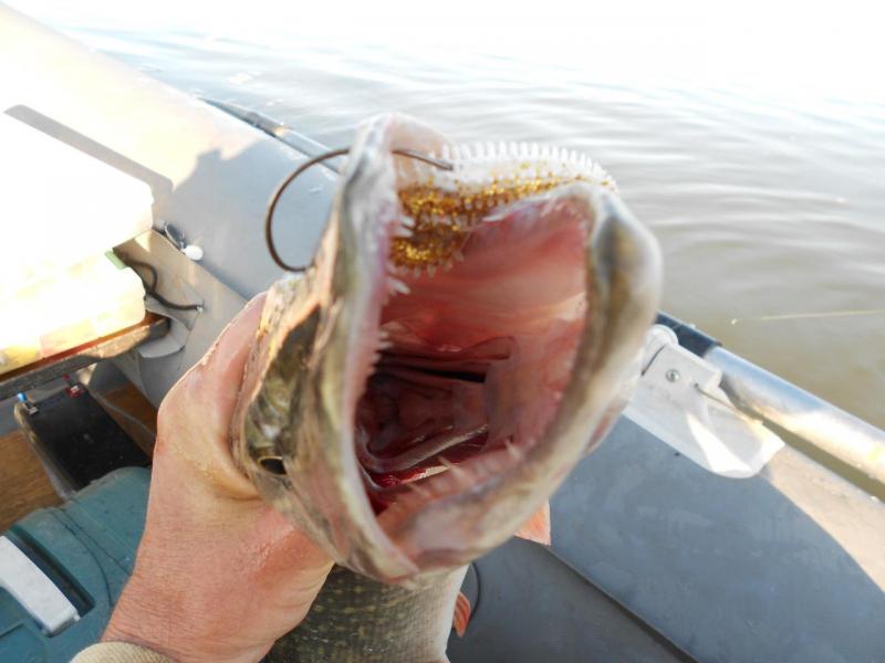 DSCN5068.JPG