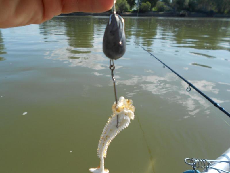 DSCN5072.JPG