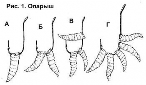 image001(17).jpg