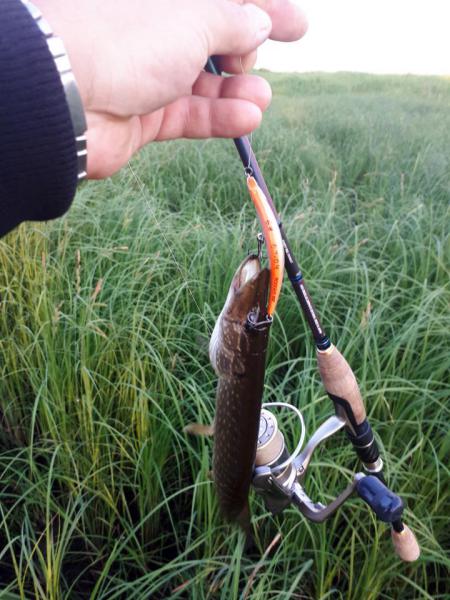 Прикрепленное изображение