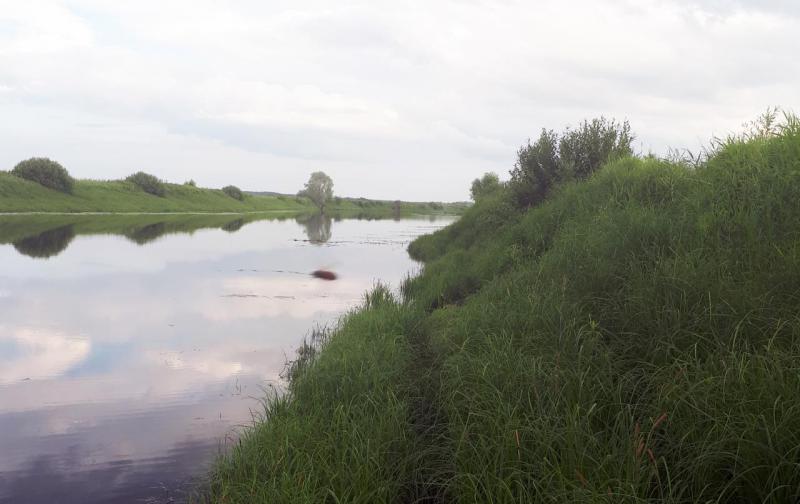 Прикрепленное изображение