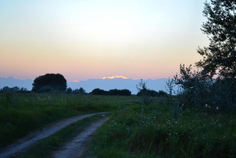 Прикрепленное изображение: DSC_0050.JPG