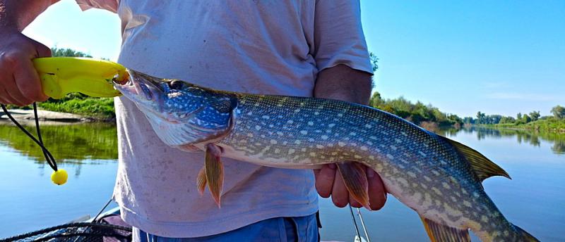 Прикрепленное изображение: photofacefun_com_1534674164.jpg