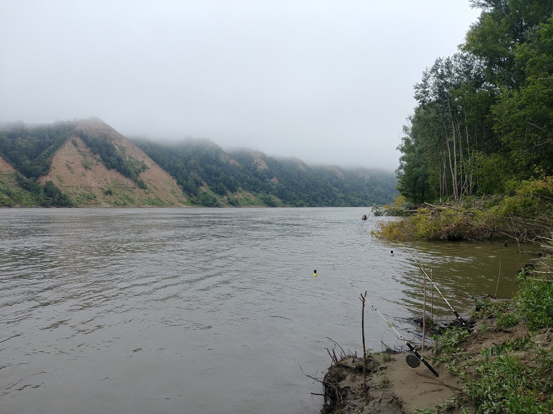 Прикрепленное изображение: 20180805_093443_HDR.jpg