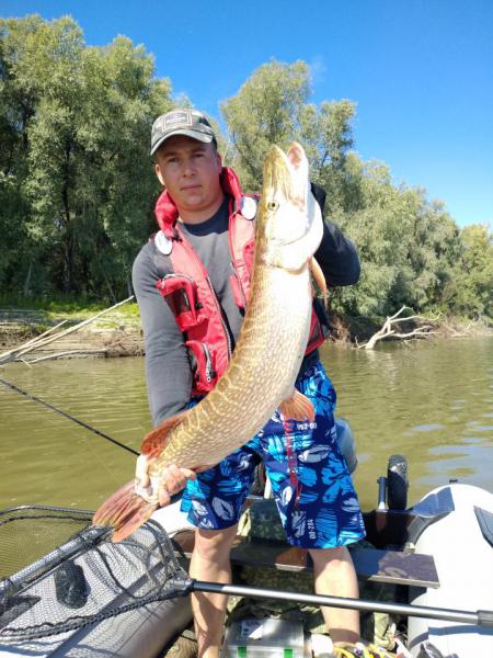 Прикрепленное изображение: P80817-120240-1.jpg