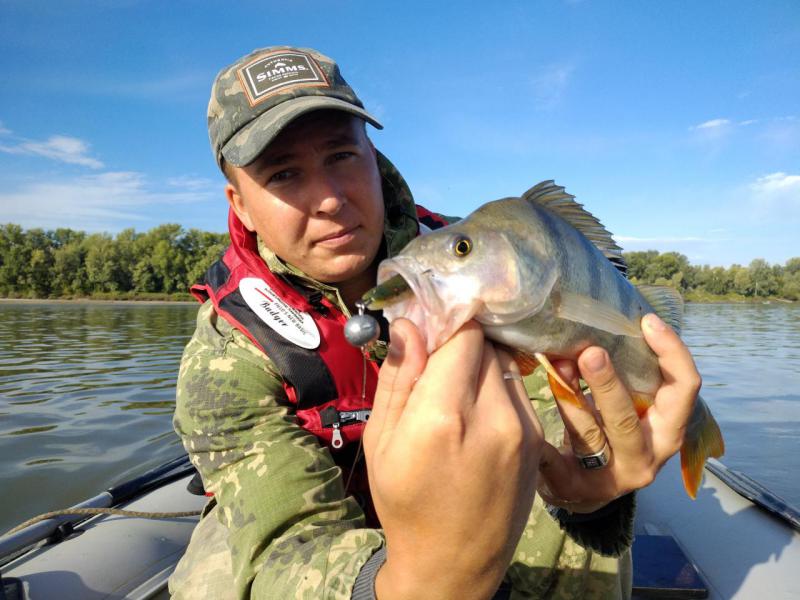 Прикрепленное изображение: P80817-085830.jpg