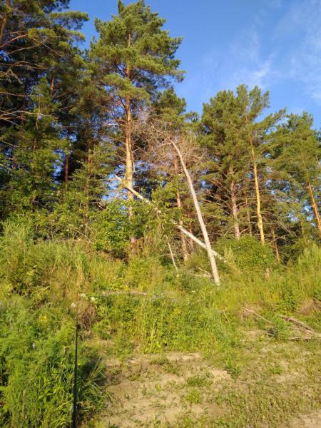 Прикрепленное изображение: IMG_20180805_072924.jpg