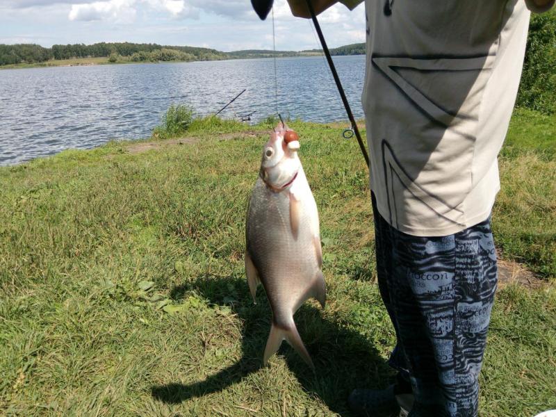 IMG_20180727_143745.jpg
