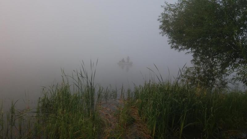 20180809_065148.jpg