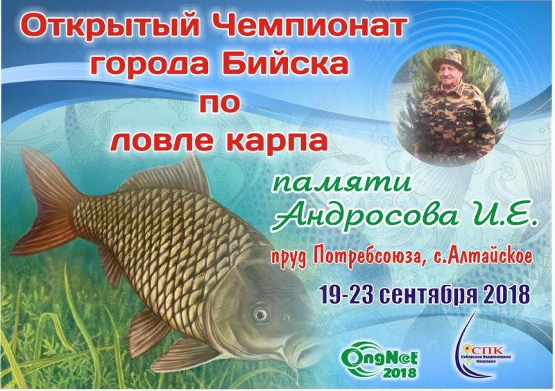 баннер Андросов.jpg