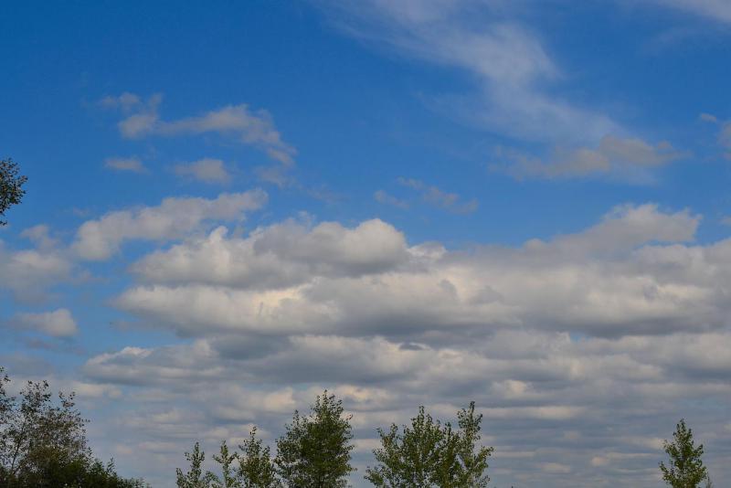 DSC_0008.JPG