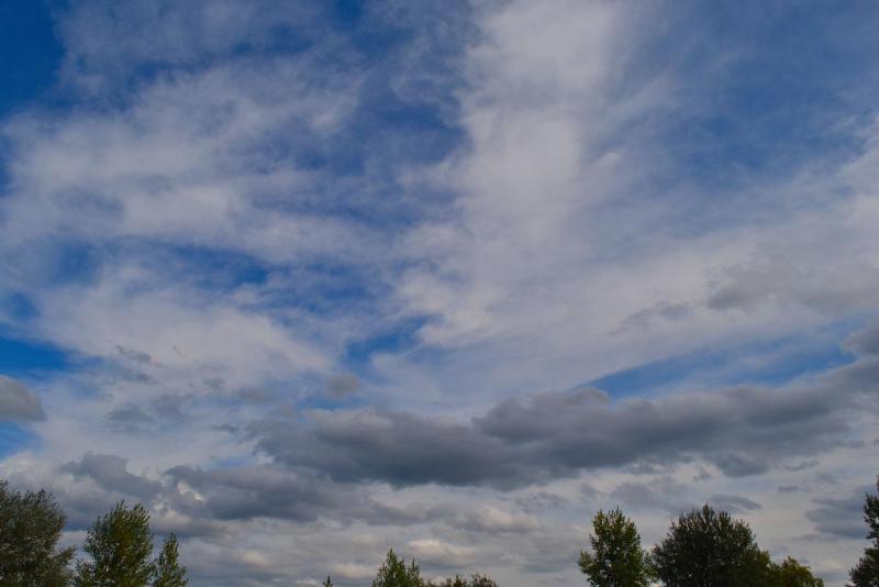 DSC_0007.JPG