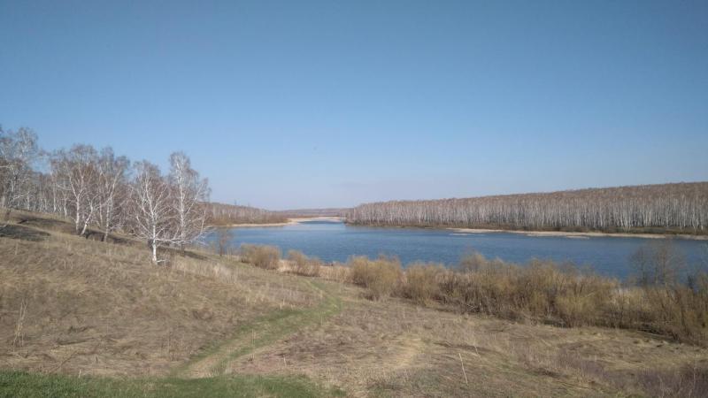 Прикрепленное изображение