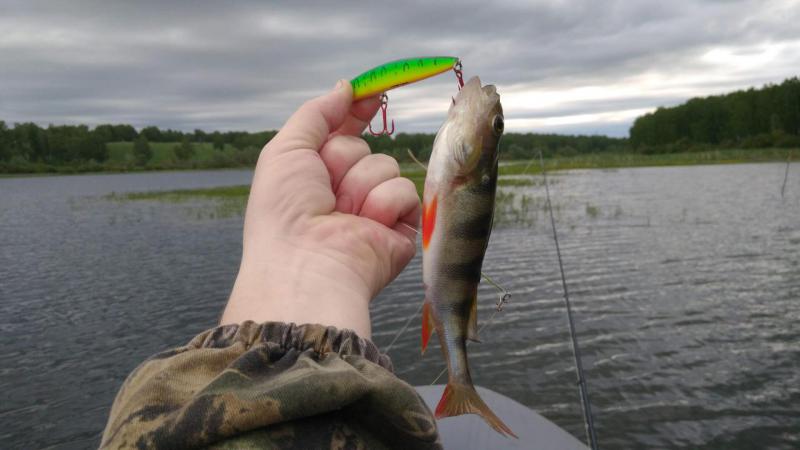 Прикрепленное изображение