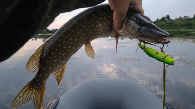 Прикрепленное изображение