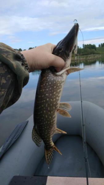 Прикрепленное изображение