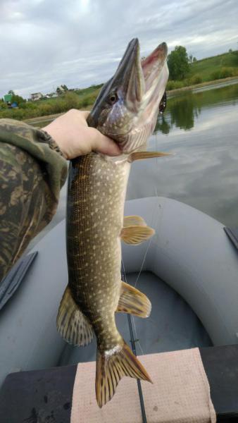 Прикрепленное изображение