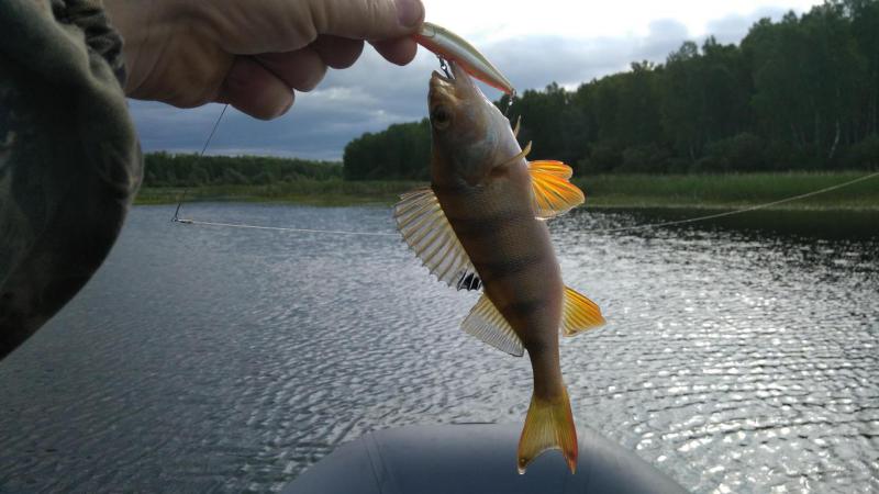 Прикрепленное изображение