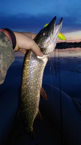 Прикрепленное изображение