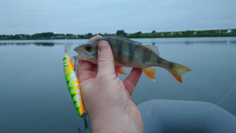 Прикрепленное изображение