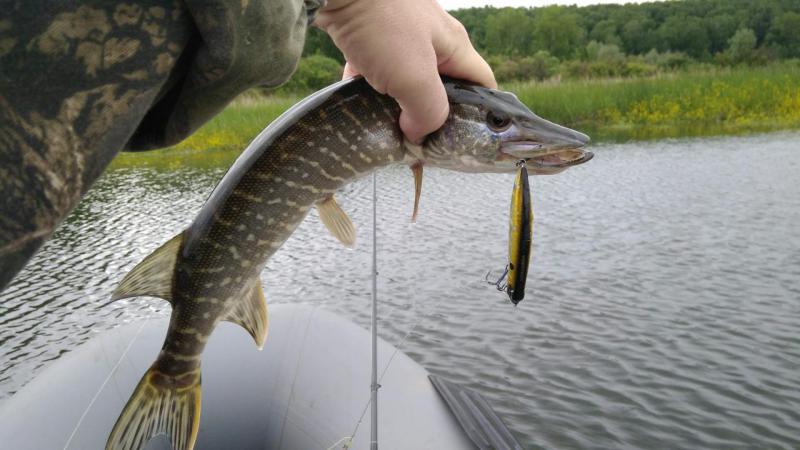 Прикрепленное изображение