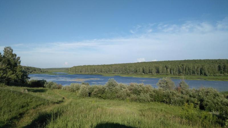 Прикрепленное изображение