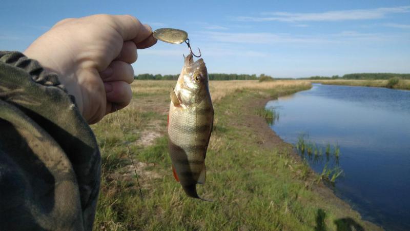 Прикрепленное изображение