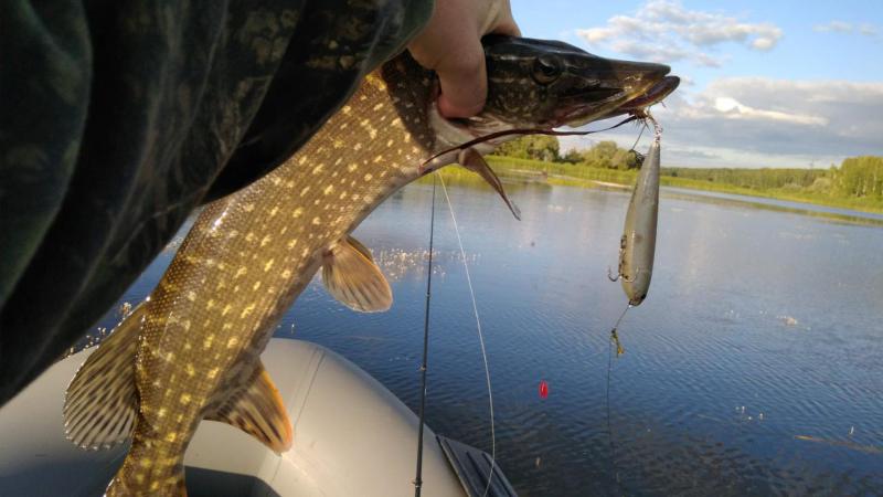 Прикрепленное изображение