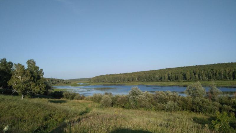 Прикрепленное изображение