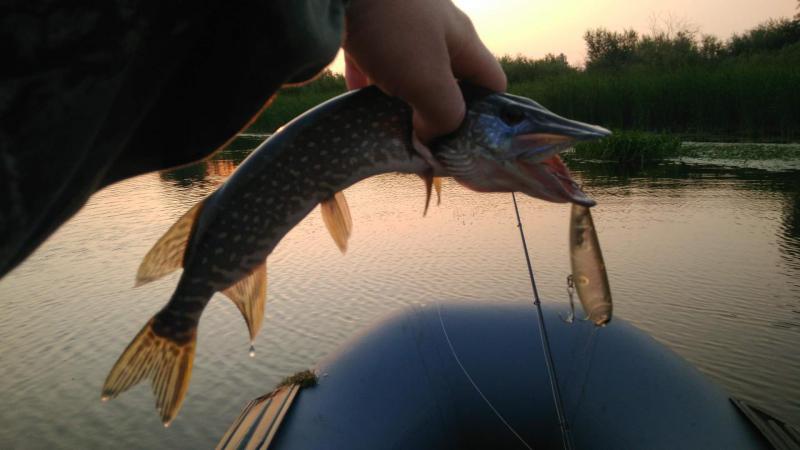 Прикрепленное изображение