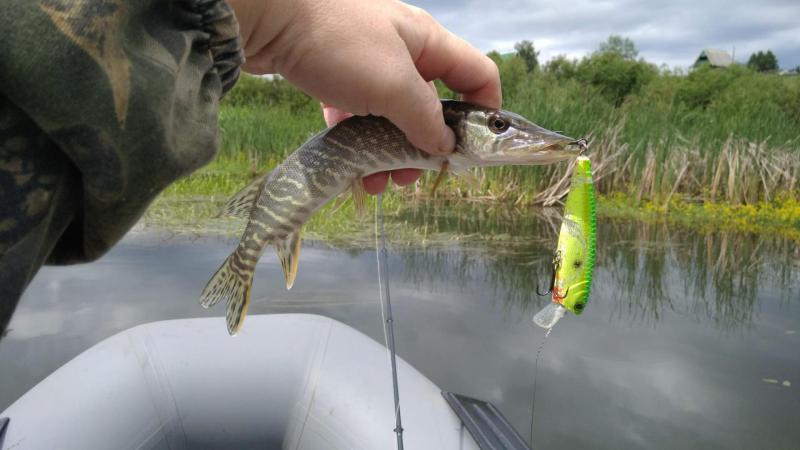 Прикрепленное изображение