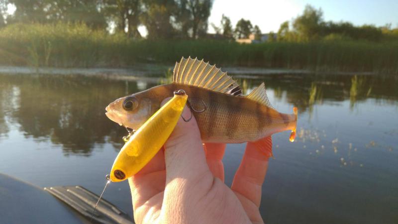 Прикрепленное изображение