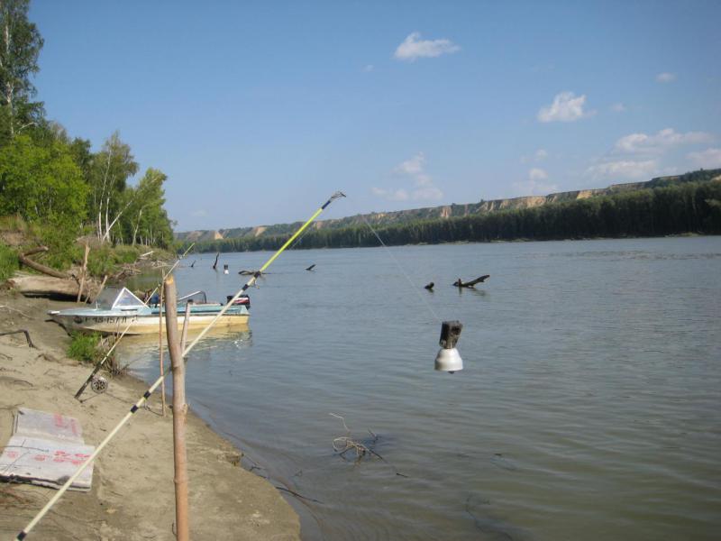 Прикрепленное изображение: IMG_8094.JPG