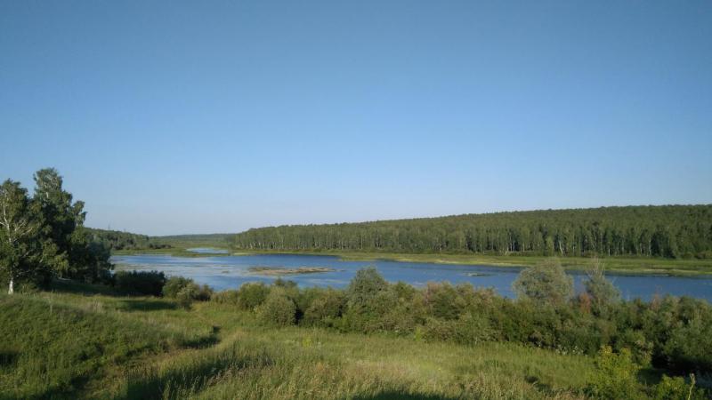 Прикрепленное изображение