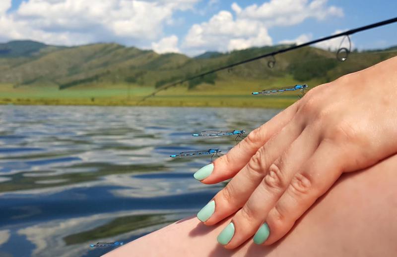 Прикрепленное изображение