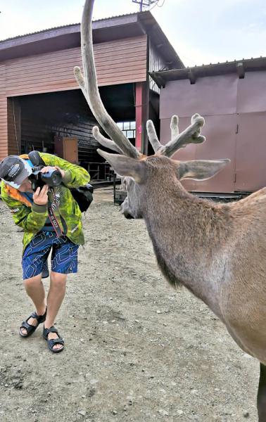 Прикрепленное изображение