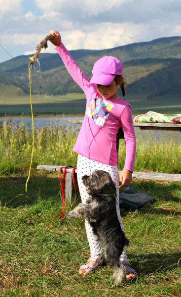 Прикрепленное изображение