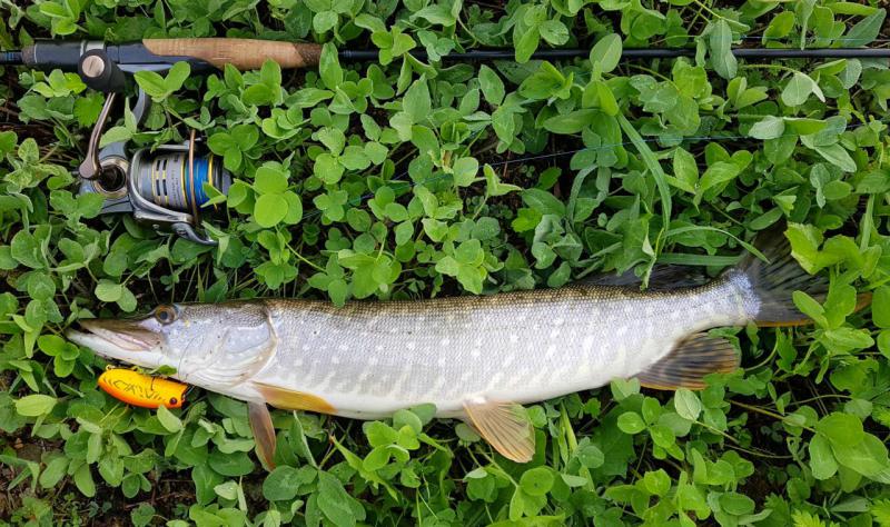 Прикрепленное изображение