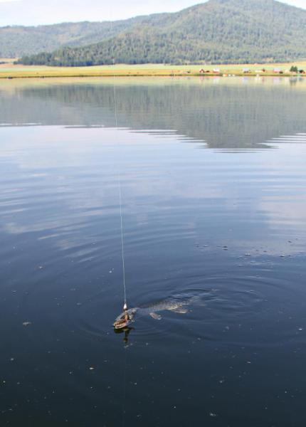 Прикрепленное изображение