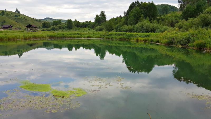 Прикрепленное изображение