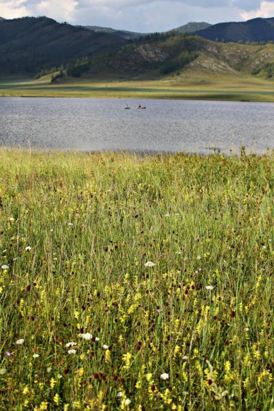 Прикрепленное изображение