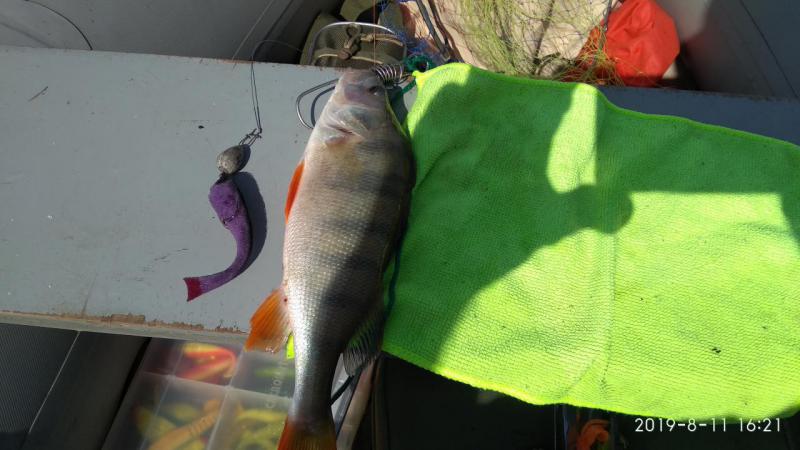 Прикрепленное изображение