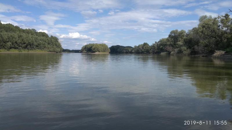 Прикрепленное изображение