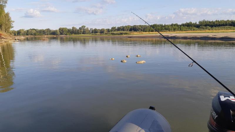 Прикрепленное изображение